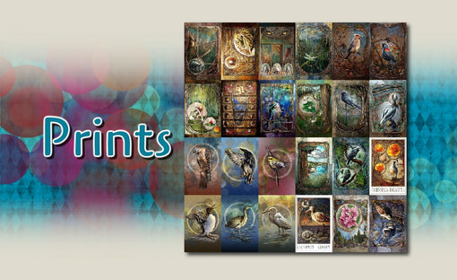 Prints, Prints, and More Prints
