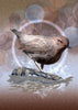 Conversations About Art-Making While Painting a Dipper