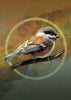 Stylized painting of a Chestnut-Backed Chickadee against a yellow, orange, and green paper texture background.