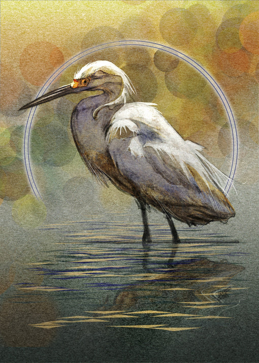 Egrets and Regrets