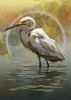 Egrets and Regrets