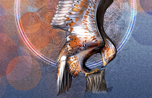 A cropped portion of a painting of a Ferruginous Hawk in browns, rusts, blues, whites, and grays.