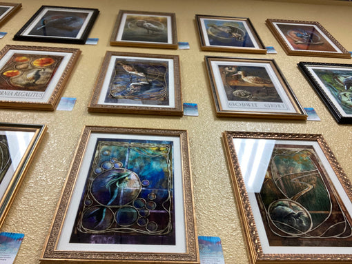 My First Personal Exhibition