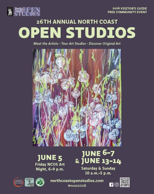My First North Coast Open Studios