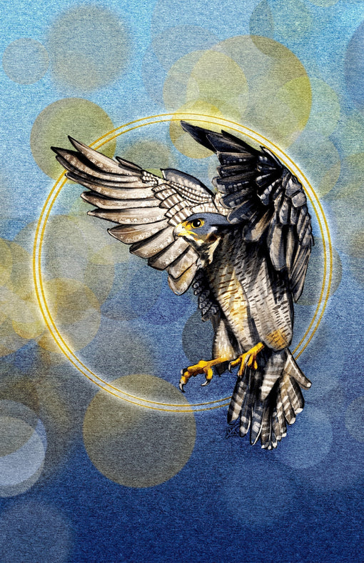 New Birds and Confidence