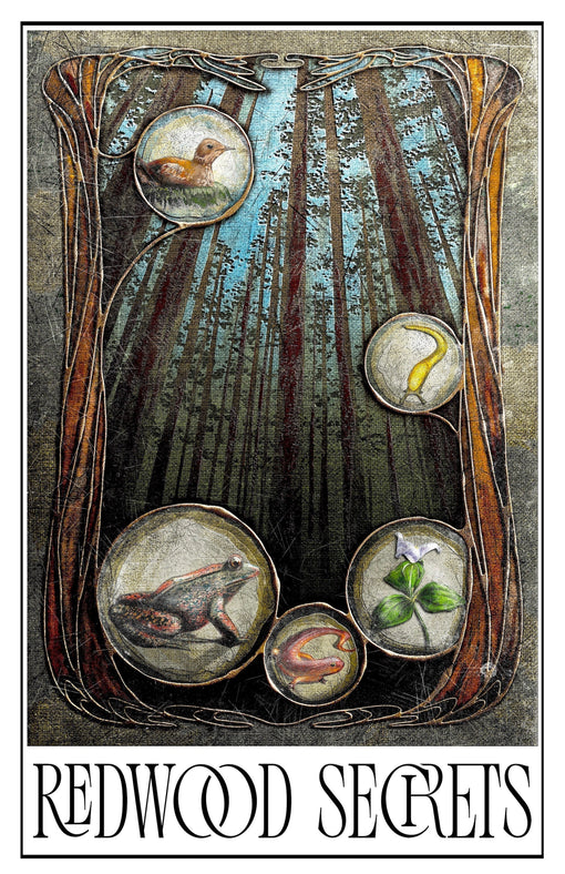 Redwood Secrets Revealed