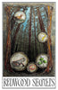 Redwood Secrets Revealed