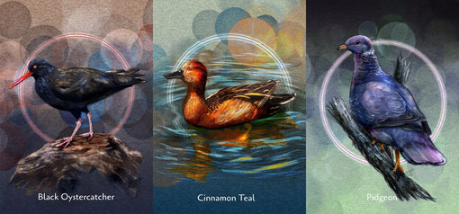 Wind, Rain, Festivals, and Feathers