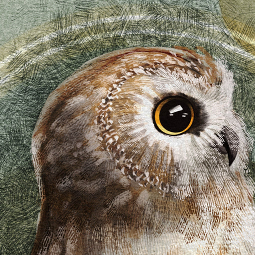 On Listings and Owl Prints