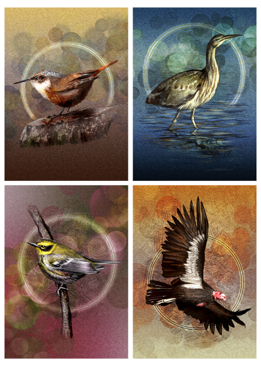 New Birds!