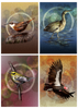 New Birds!