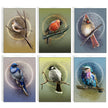 Set of six cards with illustrated birds on branches against a white background