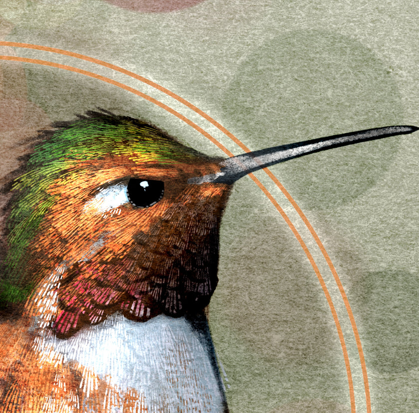 Close-up illustration of a hummingbird with iridescent green, bronze, brown, white, and pink feathers, a long dark beak, and a textured beige background with soft circular shapes and thin orange curved lines.