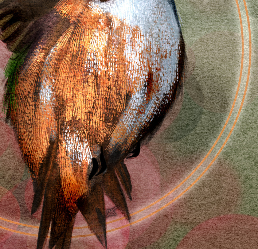 A close-up artistic depiction of a bird, likely a duck, with detailed brown, black, and white feather texture, set against a muted green and pink background with circular line patterns.