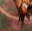Abstract art print featuring a textured, painterly design with a prominent metallic copper-brown bird wing on the right side, layered over a background of soft pink and green circular bokeh patterns.