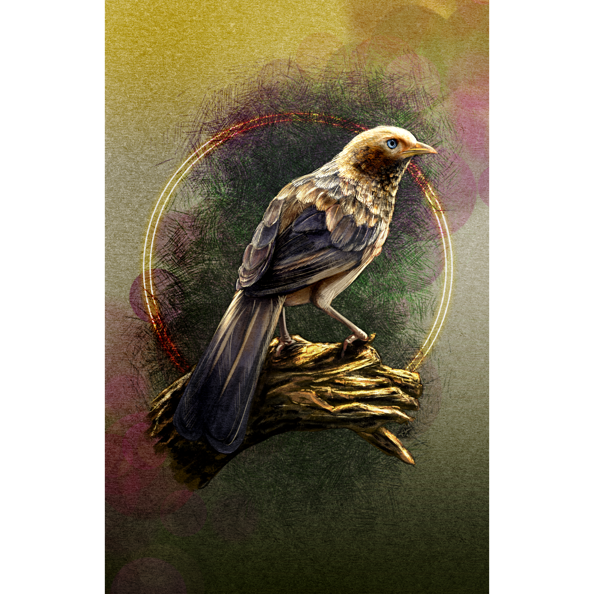 Illustration of a bird perched on a branch with a colorful circular background