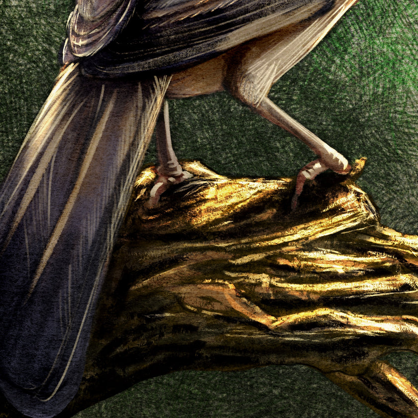 Close-up of a bird perched on a branch with detailed feathers and texture.
