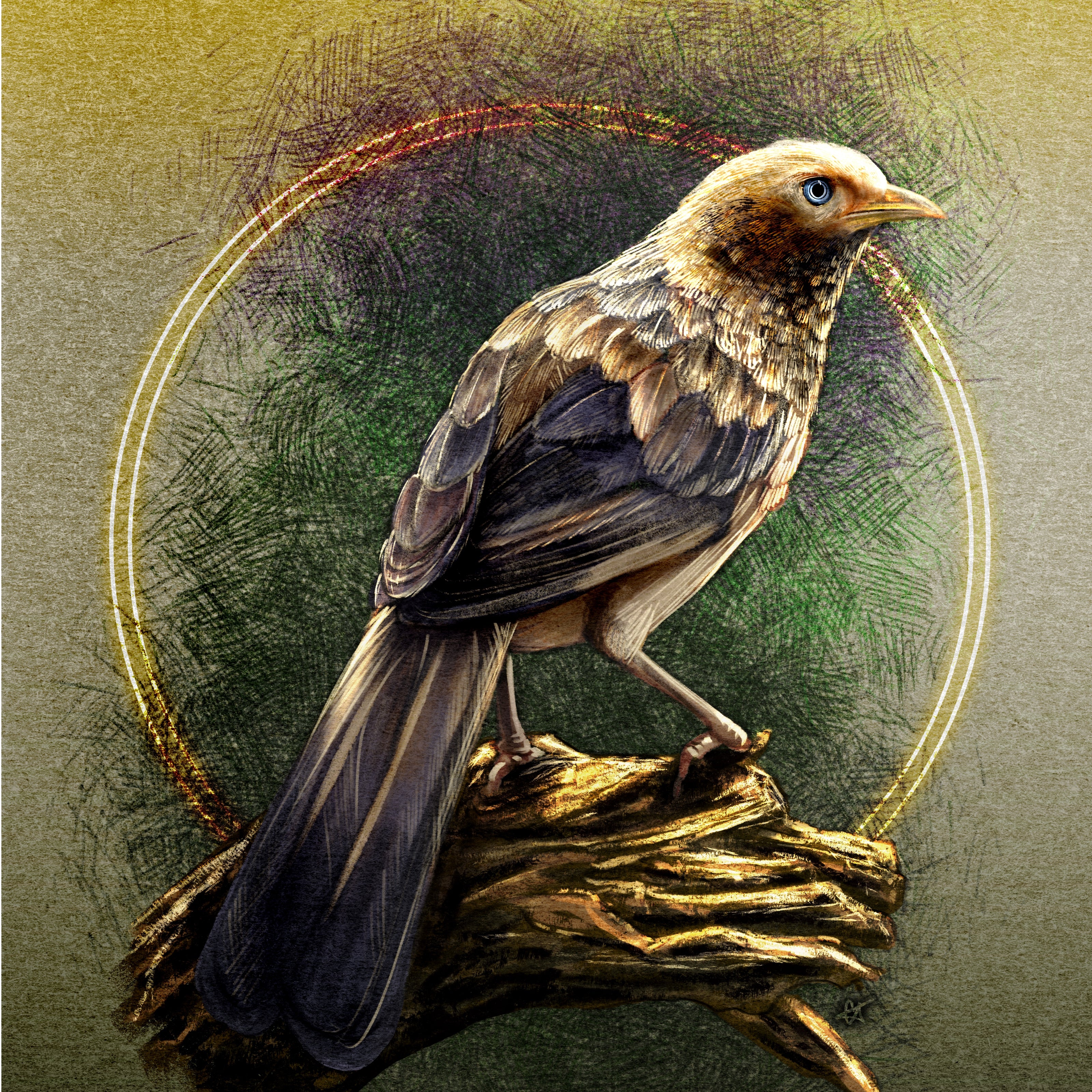 Illustration of a bird perched on a branch with a circular gold frame