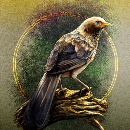Illustration of a bird perched on a branch with a circular gold frame