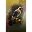 Illustration of a bird perched on a branch with a colorful circular background