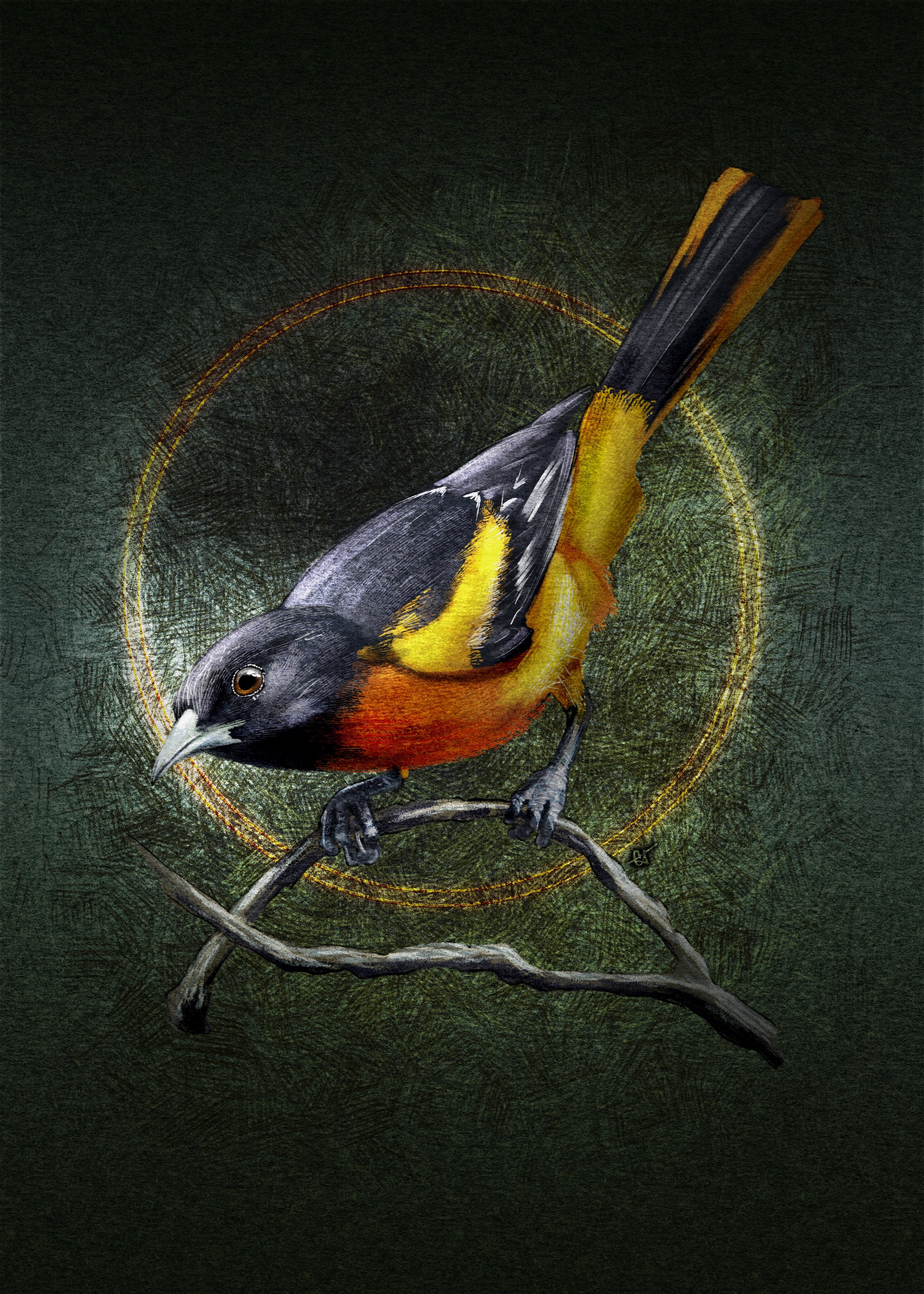 Oriole Stationery Paper Pack