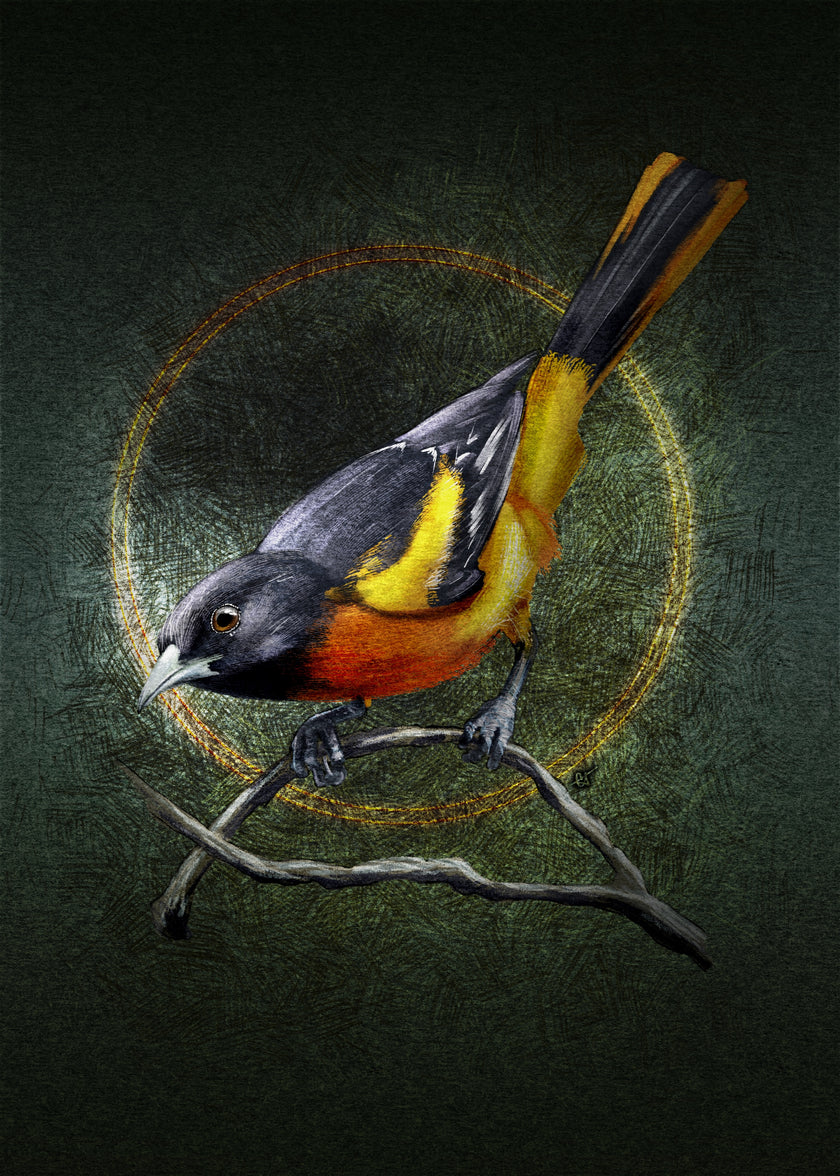 Oriole Stationery Paper Pack