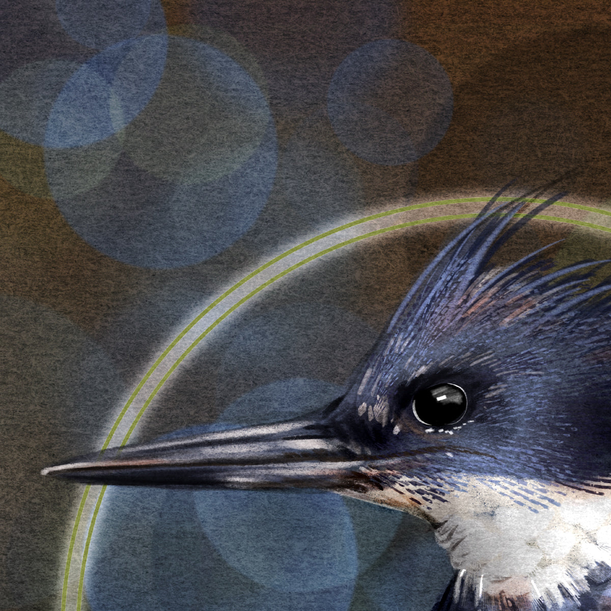 Closeup of a stylized artwork of a belted kingfisher's beak with feathers and markings.