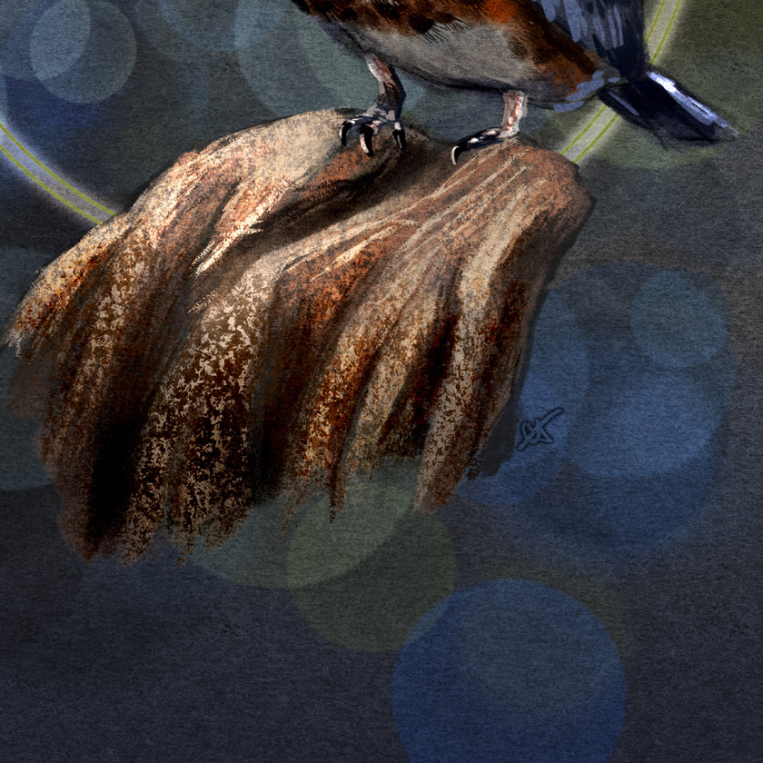 Closeup of a stylized artwork of a belted kingfisher's talons on a wooden outgrowth/branch. 