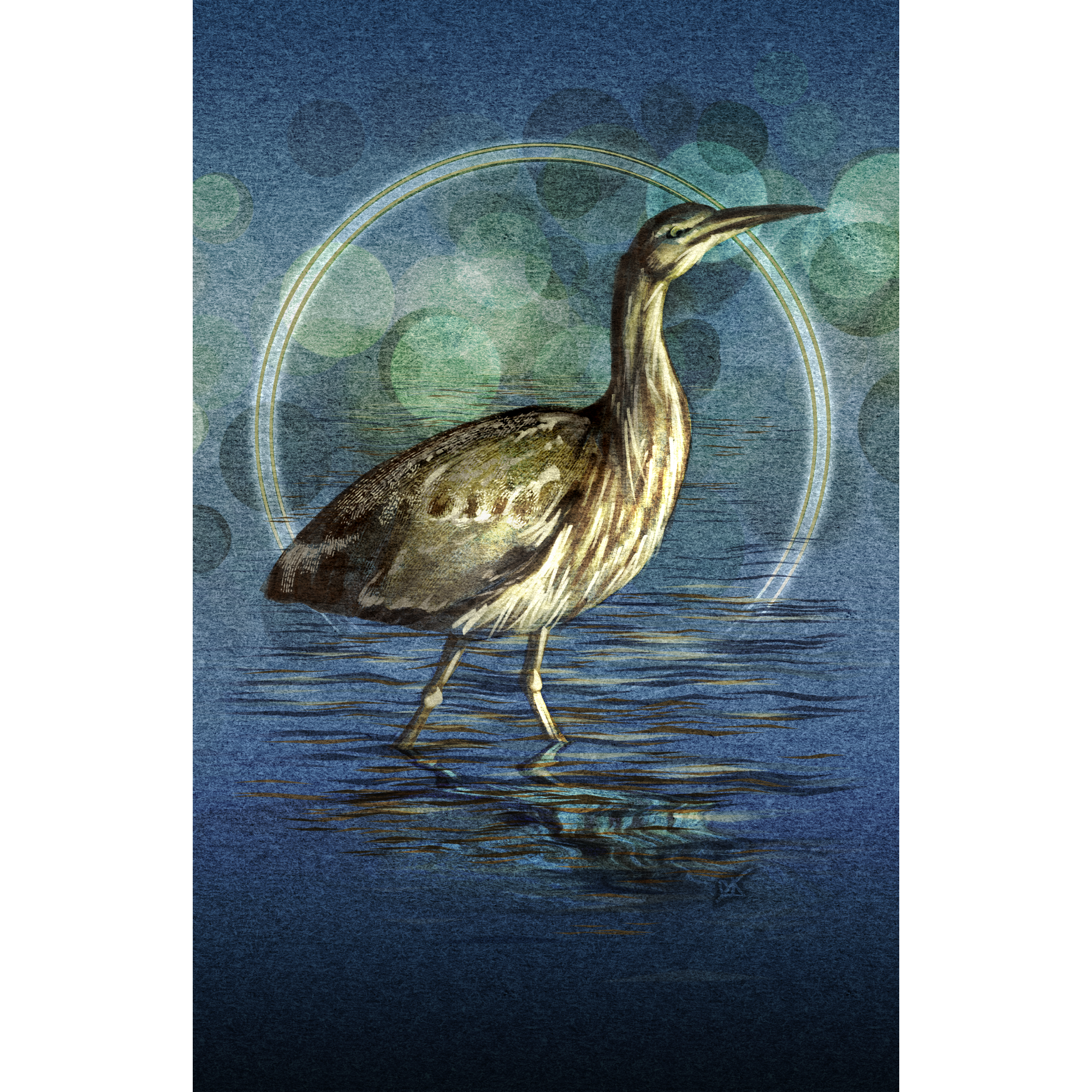 Illustration of a bird standing in water with a blue and green circular background