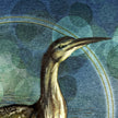 Illustration of a bird with a stylized background
