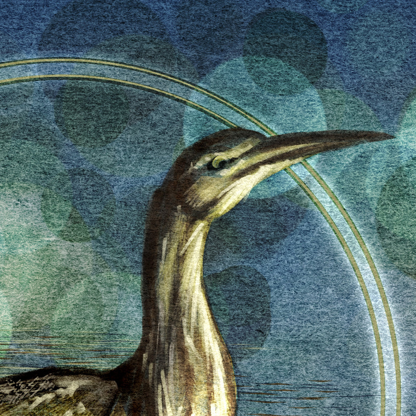 Illustration of a bird with a stylized background
