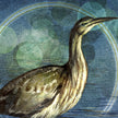 Illustration of a bird with a stylized blue and green background
