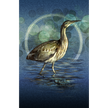 Illustration of a bird standing in water with a blue and green circular background