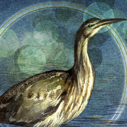 Illustration of a bird with a stylized blue and green background