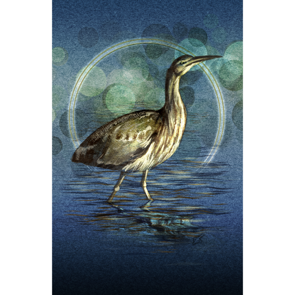 Illustration of a bird standing in water with a blue and green circular background