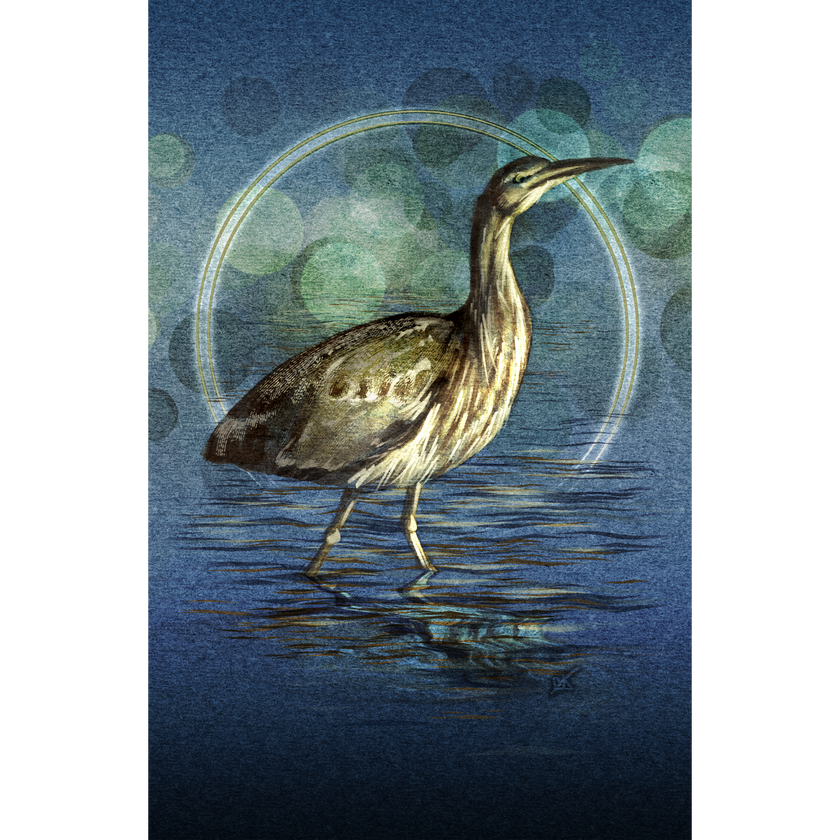 Illustration of a bird standing in water with a blue and green circular background