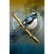 Illustration of a blue and white bird perched on a branch with a textured background