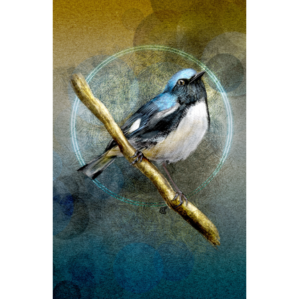 Illustration of a blue and white bird perched on a branch with a textured background