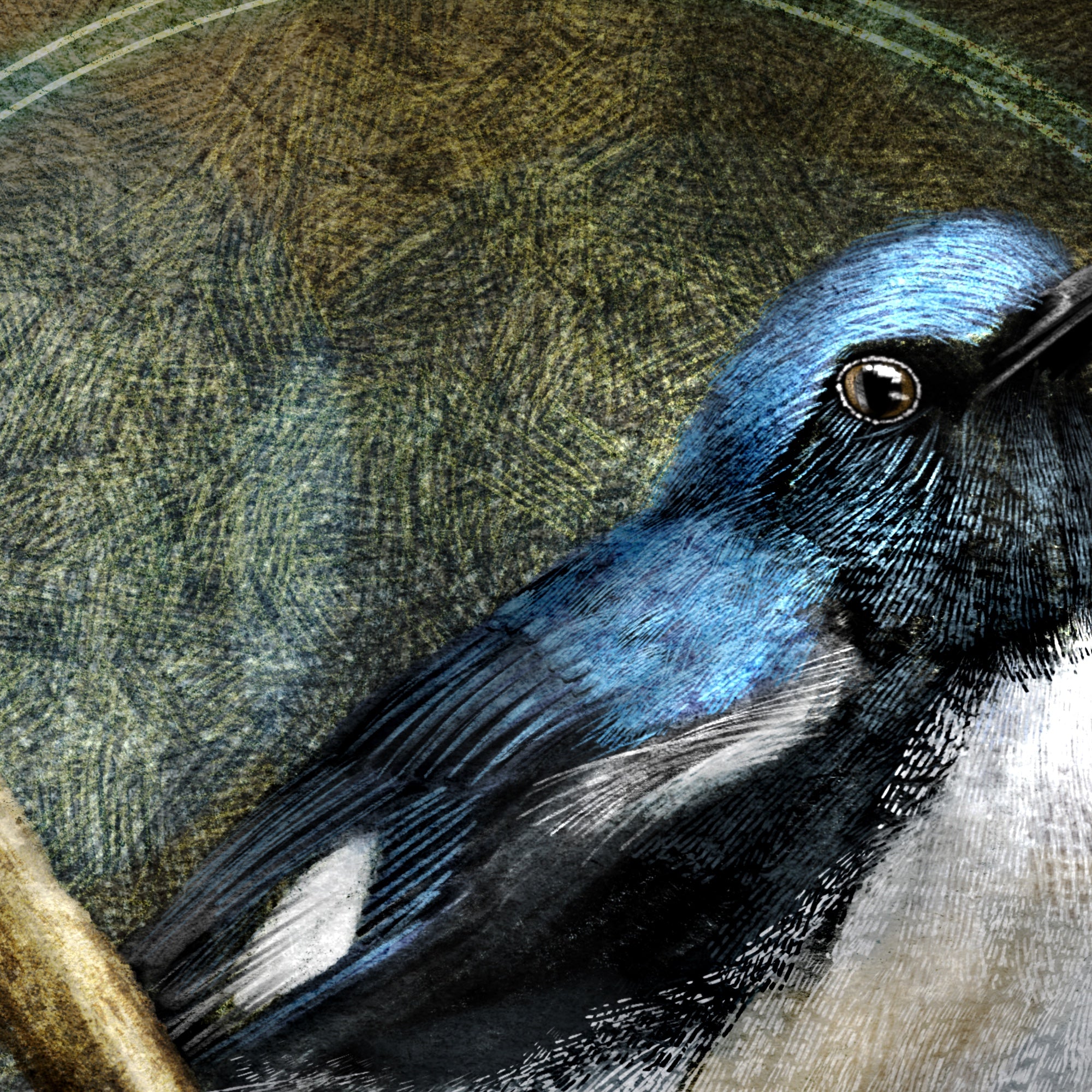 Close-up of a blue bird with a textured green background