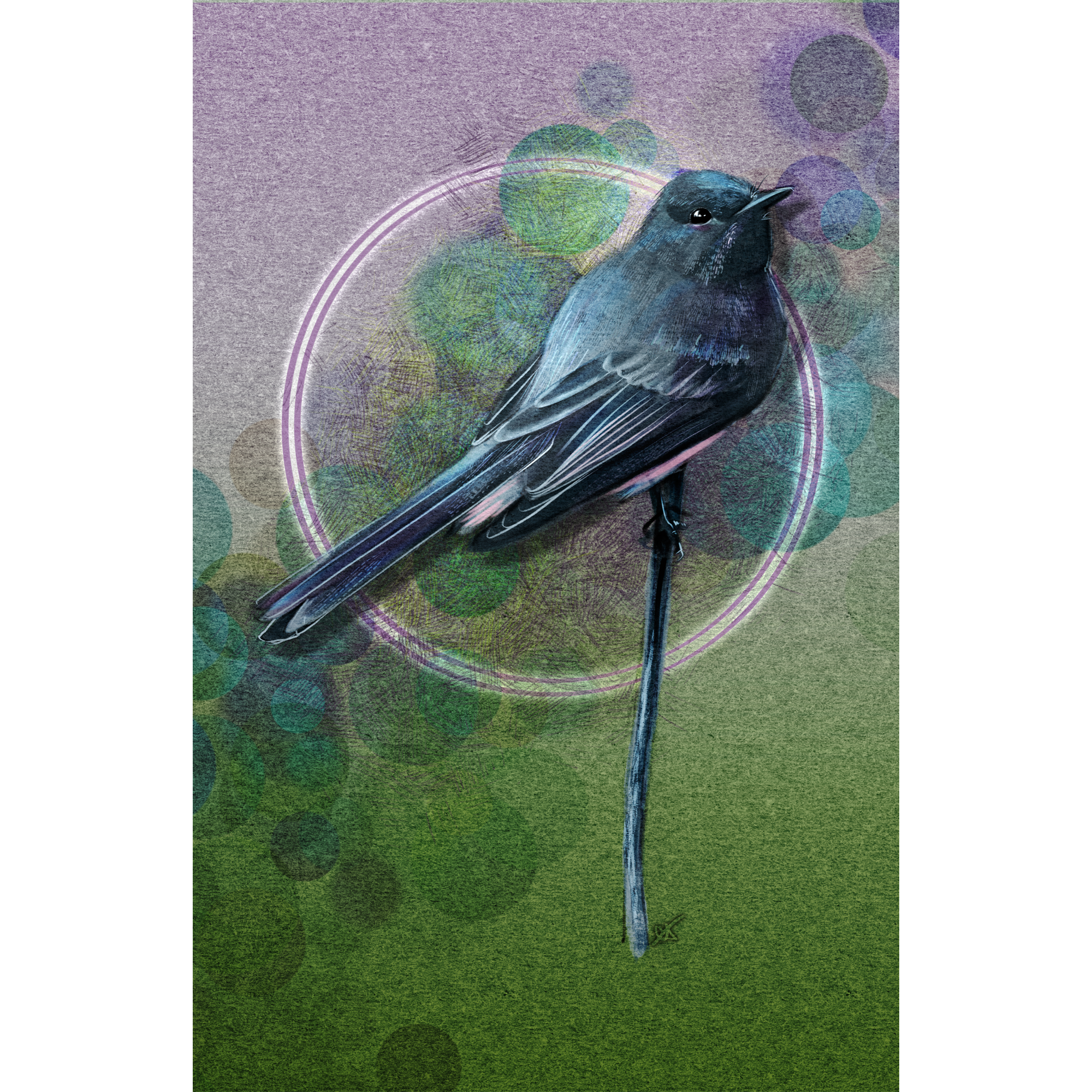Bird illustration on a textured green and purple background