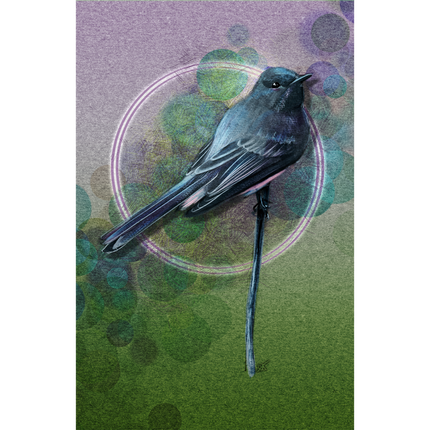 Bird illustration on a textured green and purple background