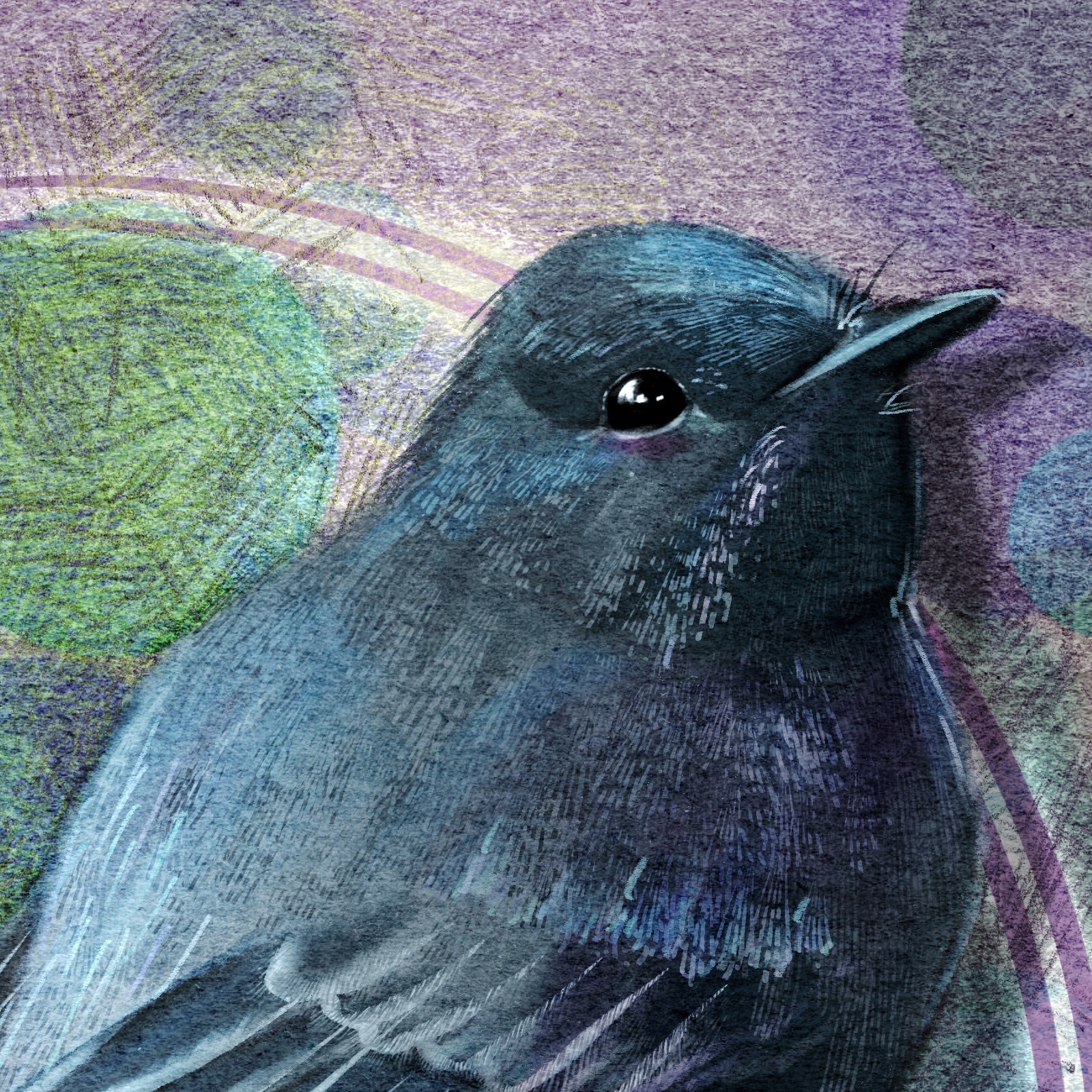 Close-up of a detailed illustration of a bird with a textured background