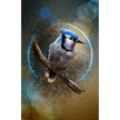 Blue jay bird perched on a branch with a circular light effect on a textured background