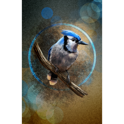 Blue jay bird perched on a branch with a circular light effect on a textured background