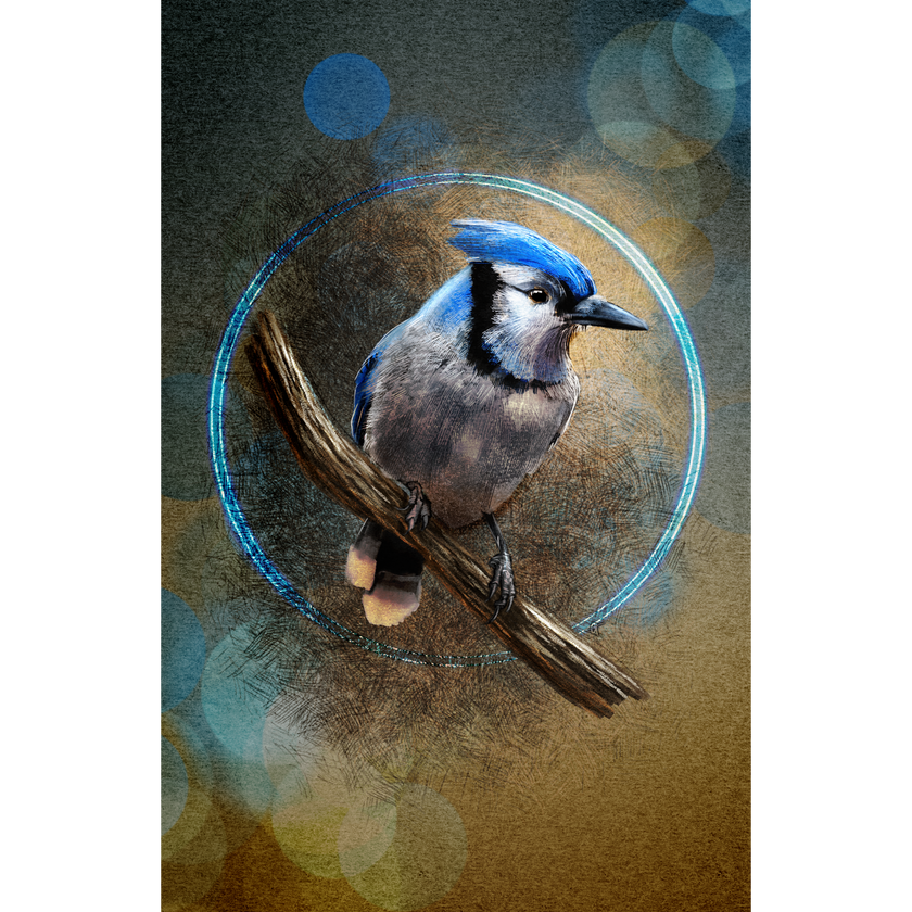 Blue jay bird perched on a branch with a circular light effect on a textured background