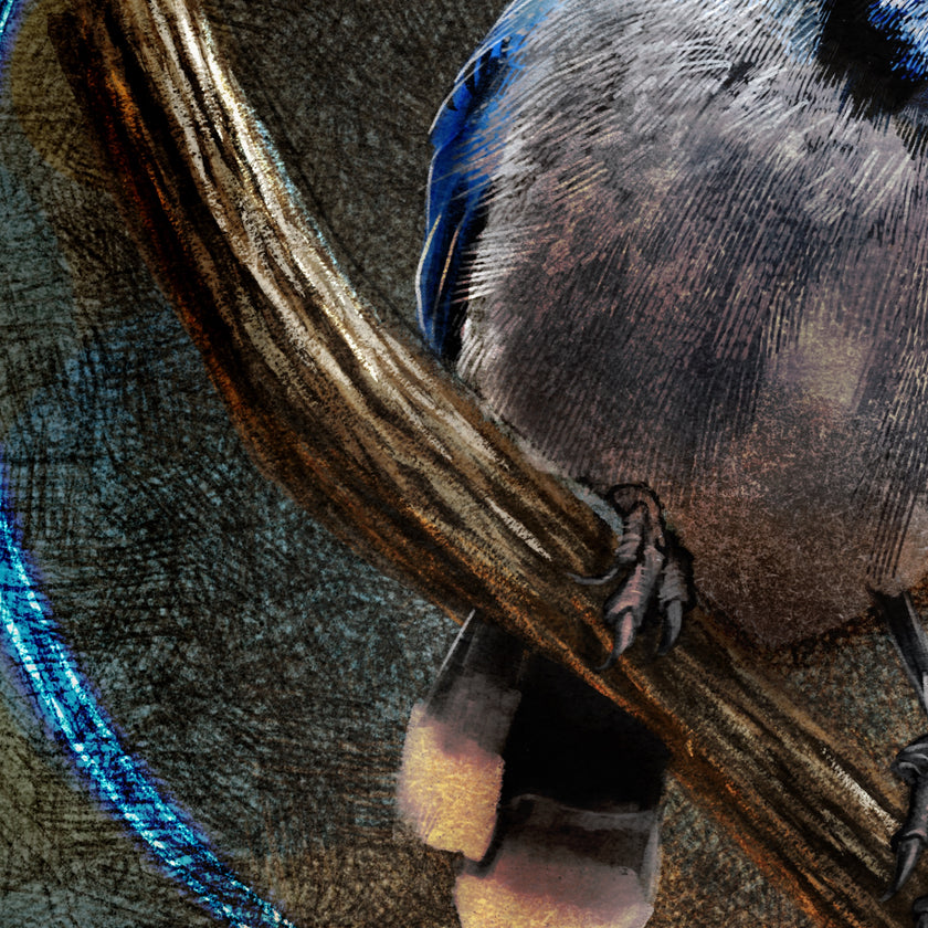 Close-up of a bird's head with detailed feathers and beak on a textured background