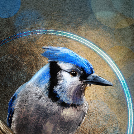Close-up of a blue jay with a textured brown and blue background