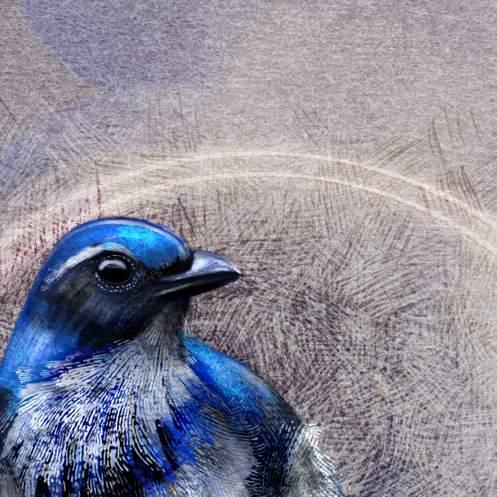 Close-up of a blue bird illustration on a textured brown background