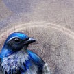 Close-up of a blue bird illustration on a textured brown background