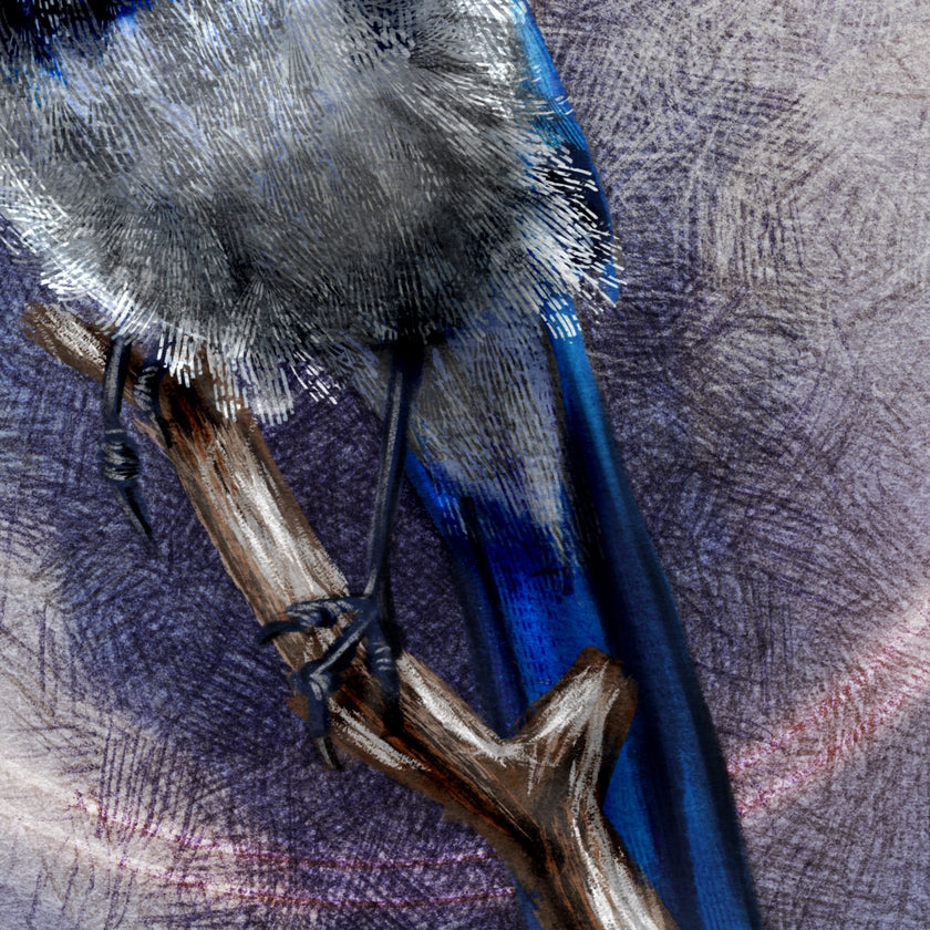 Close-up of a blue bird perched on a branch with a textured purple background